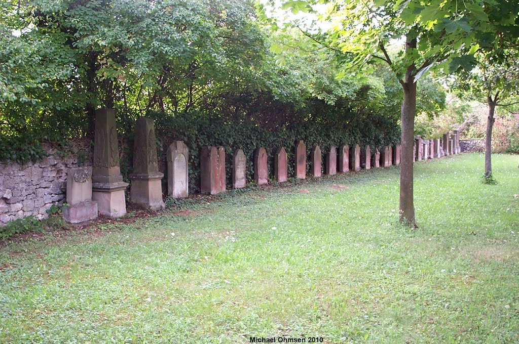 Auf dem jüdischen Friedhof in Eppelsheim (linke Reihe) by Michael Ohmsen