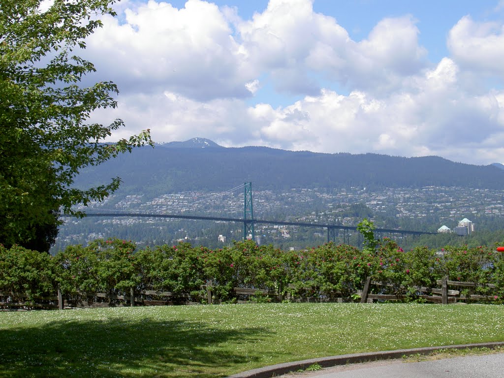 View of Lions Gate Bridge from Stanley Park, Vancouver, BC by Maria Gizella Nemcsics