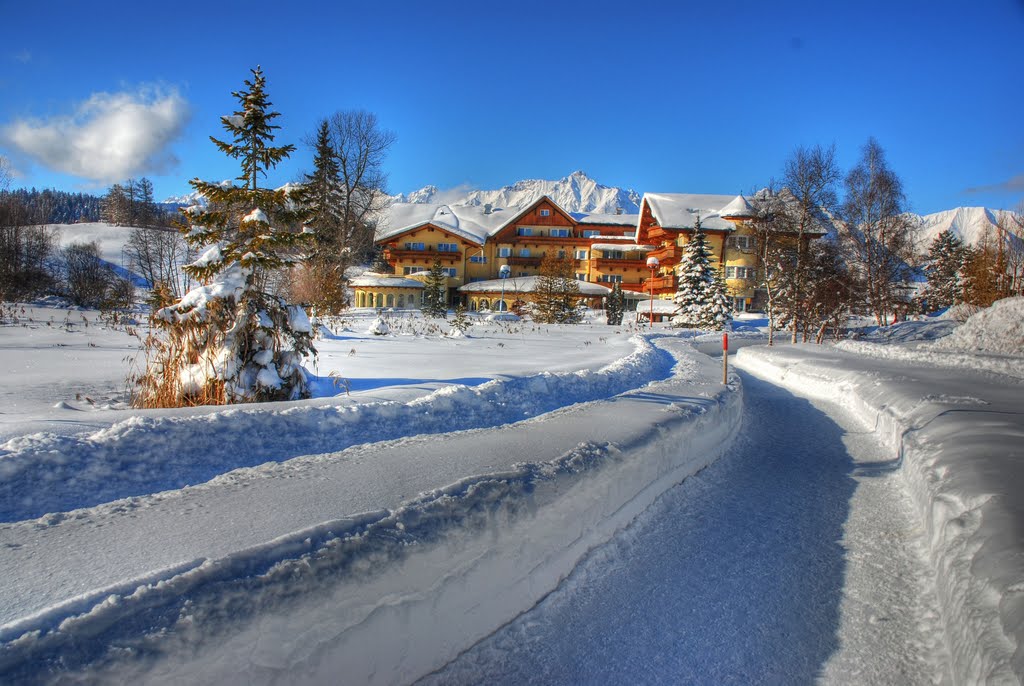 Tirol Seefeld, Winterlandschaft by Miller Harry