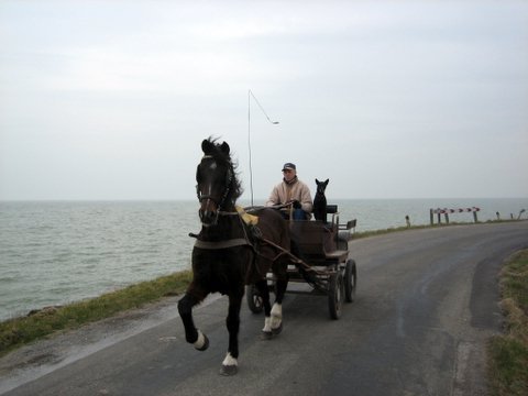 Paard en wagen op zuiderdijk by Dellow