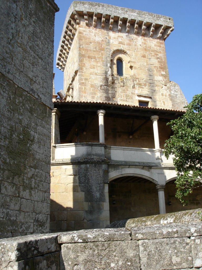 Castillo de Monterrei by Super Bee