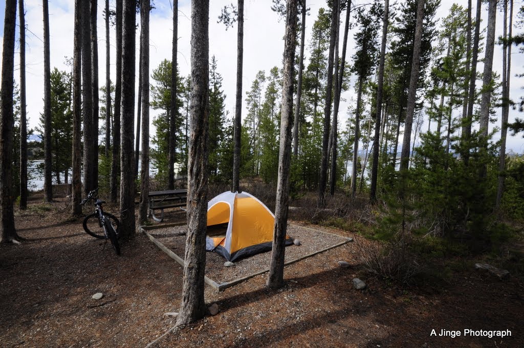 Grad Teton, Signal Mountain Campground by 挥斥方砖Tchaikov