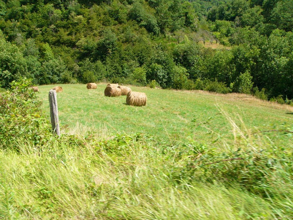 Petit champ dans l'étroite vallée de l'Auzène by Jean-Louis Delegue