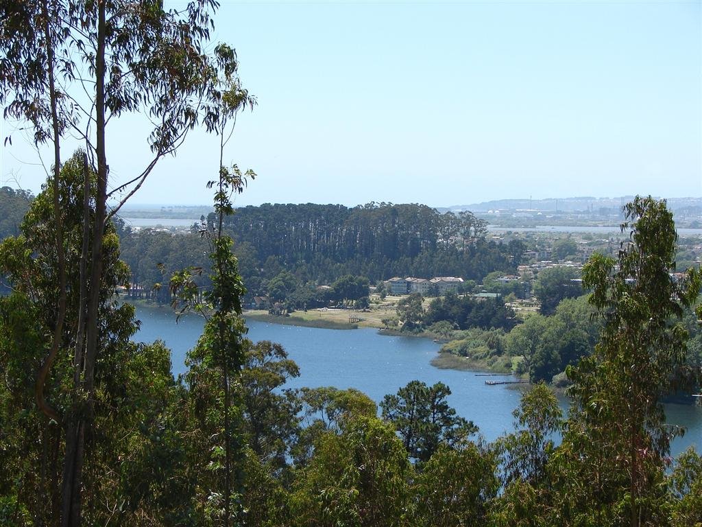 Laguna Grande San Pedro de la Paz by Fernando Neira Young