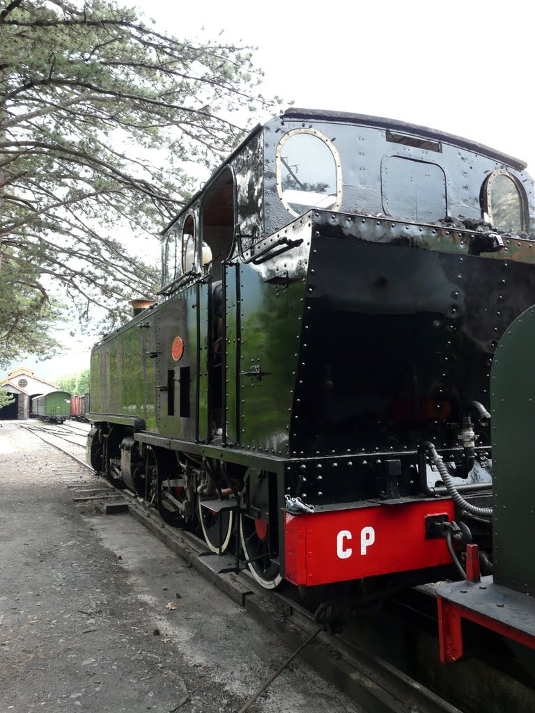 Locomotive E 211 en gare de Puget-Théniers by Jean-Claude RESSE