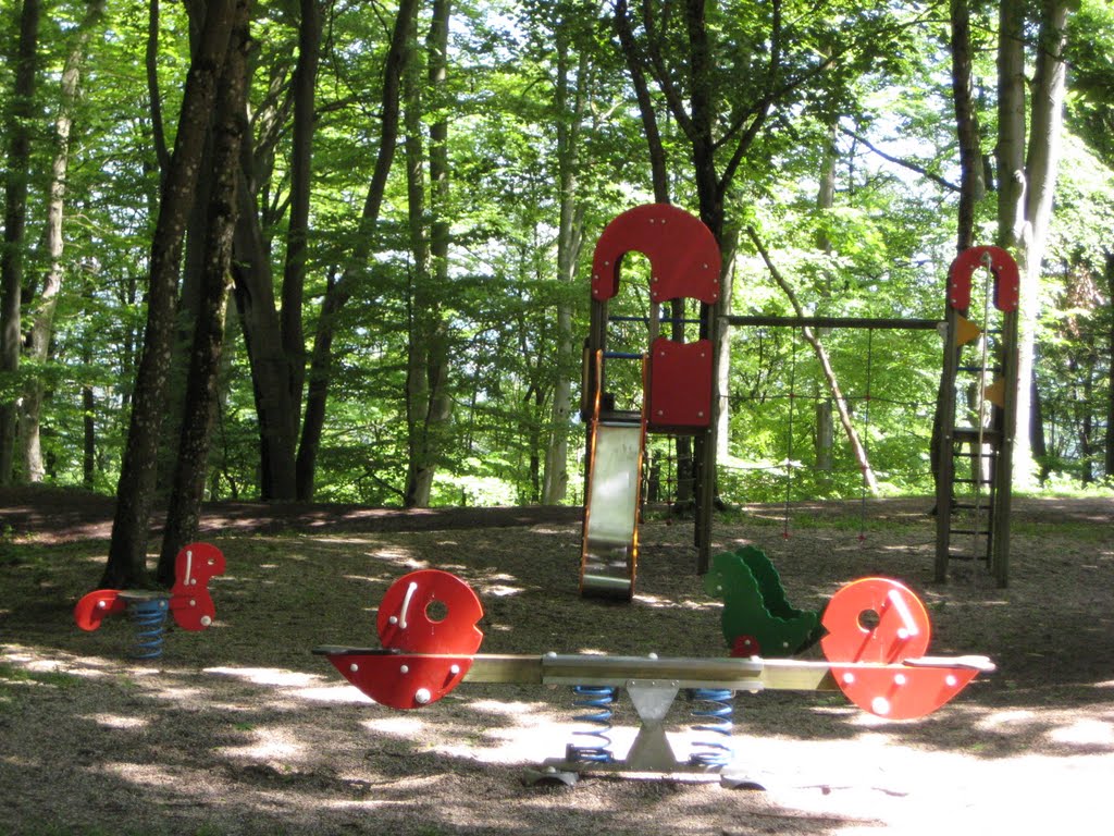 Moritzbergspielplatz im Sommer 2010 by jagaheli