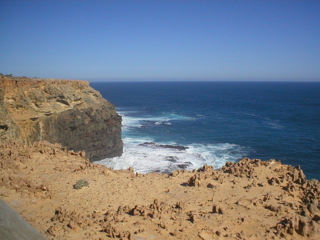 Looking out into the Southern Ocean from the Petrified Forest by Neil C