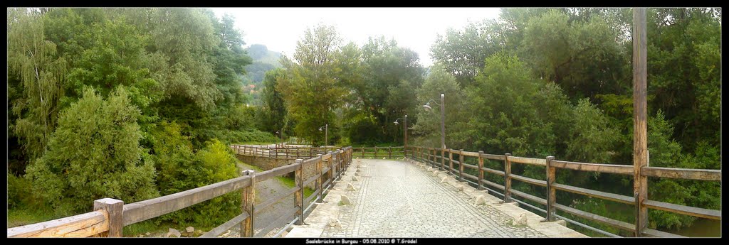 Auf der alten Saalebrücke by ThorstenGroedel