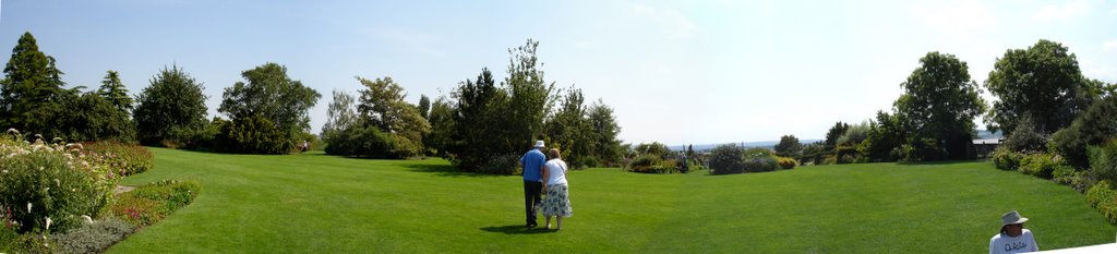 Hyde Hall Lawn Pan by Robin Wheeler