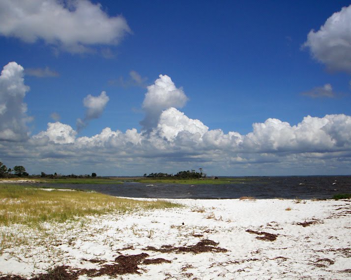 Mashes Sands Beach ~ Panacea, FL ~ August 2010 by JanusGD