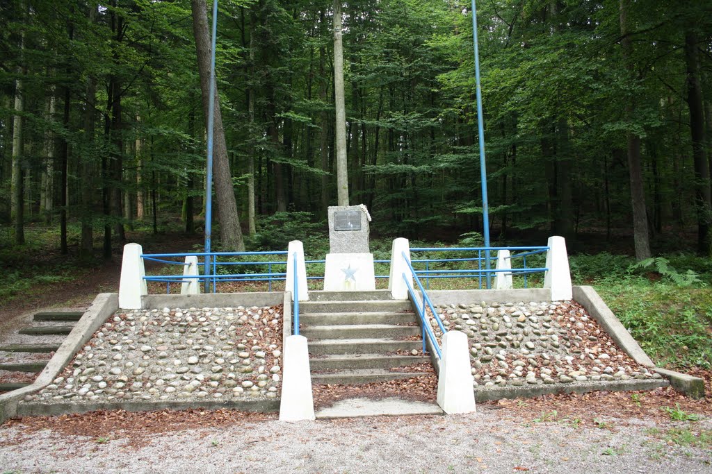 US memorial , Bruyeres 1 by wogupi