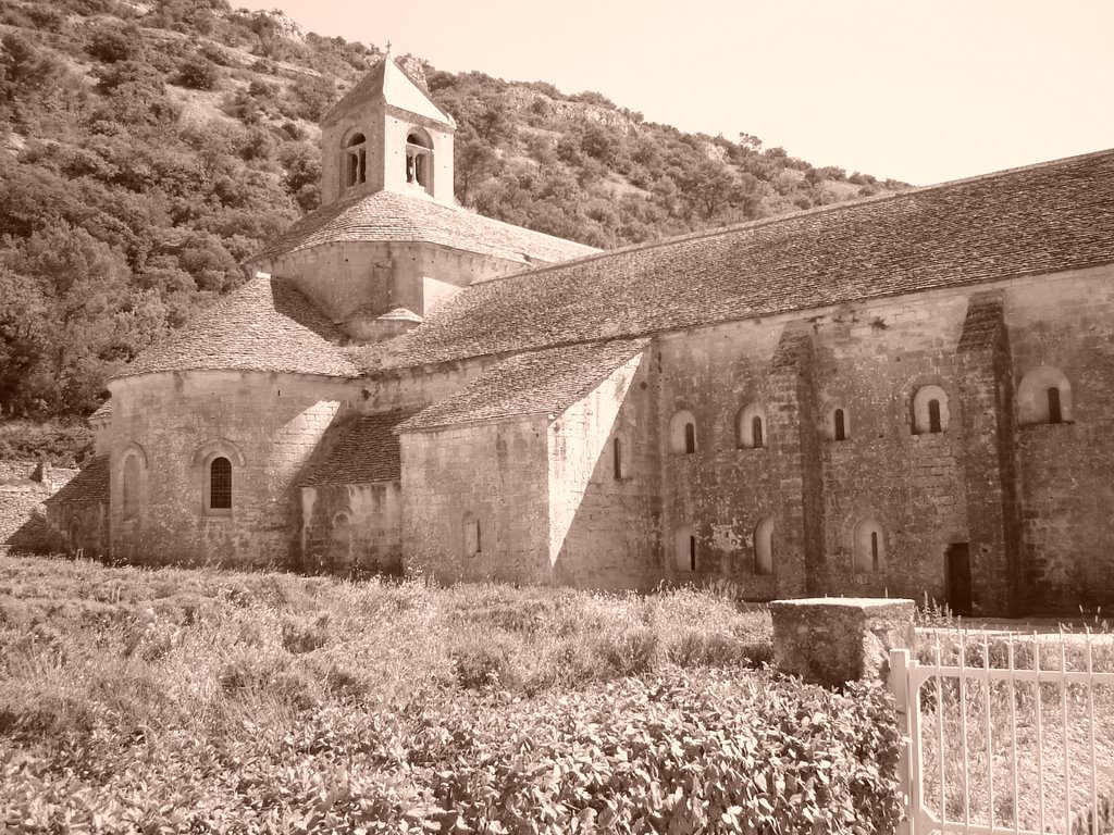 Abbaye de Senanque by grenouille13