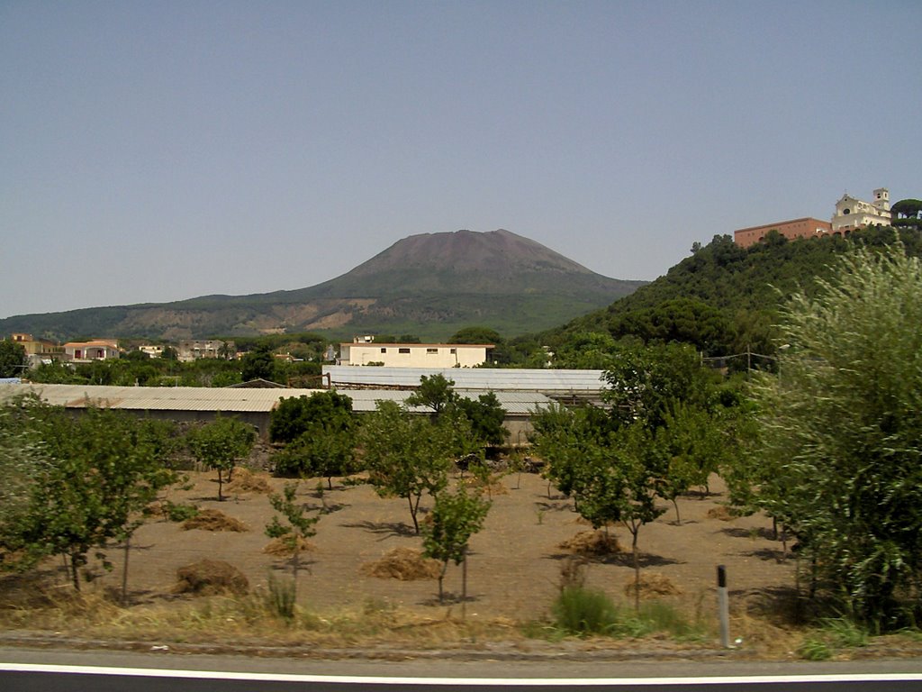 Vesuvio by Roberto Palisca