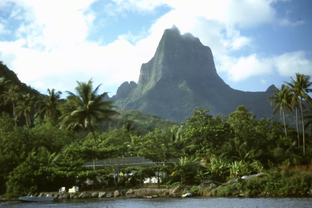 Moorea by deglobalnomad