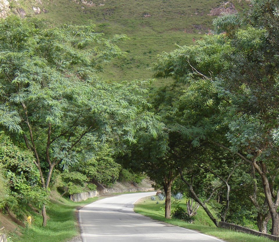 Carretera de ida a Samaipata by ((_Nando_))