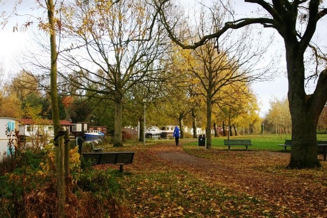 Prachtig wonen aan het Nijenrodeplantsoen by heberd