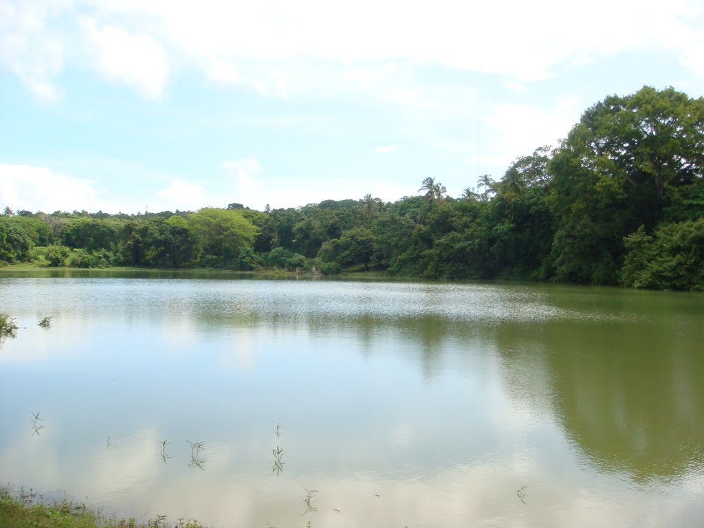 LAGUNA BIG POND DE SAN ANDRES 3 by carlos alberto arango