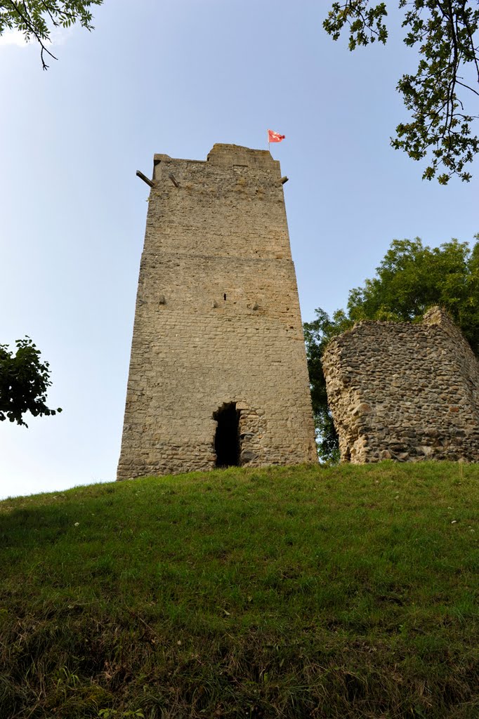 Tour St-Martin - Chêne-Paquier by yves_grau