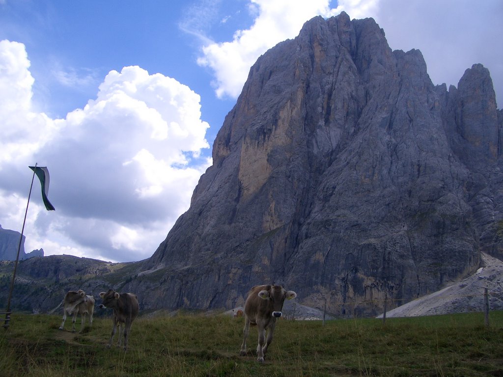 Pascolo sotto il Sassolungo by cefax