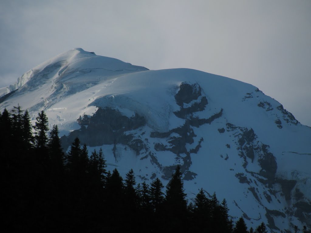 Mt. Rainier from Mowich Lake by Todd Stahlecker