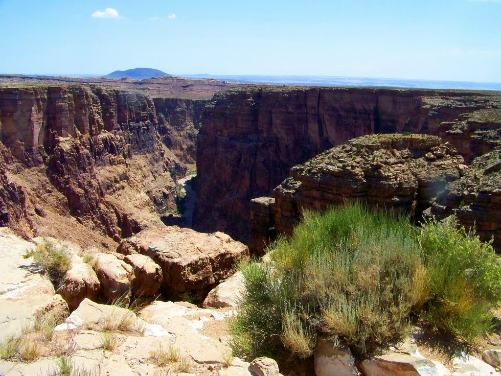 A dry wash of the Little Colorado by MAL10587