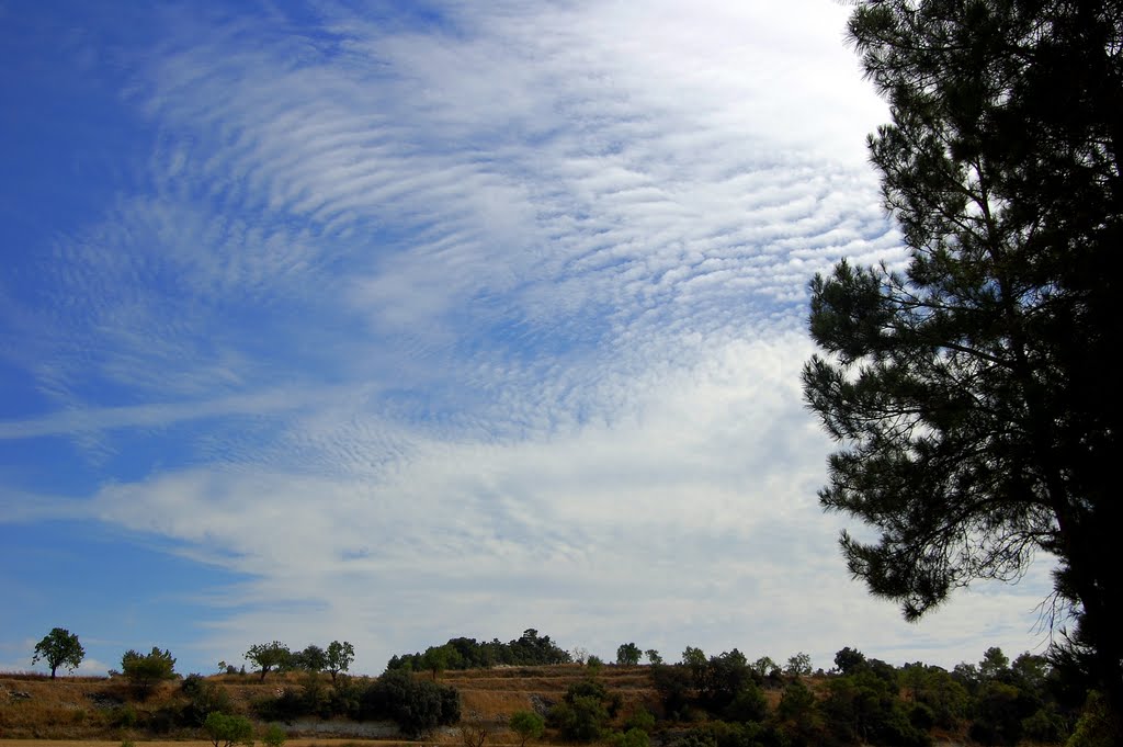 Montfar, Ribera d'Ondara, Lleida by Angela Llop