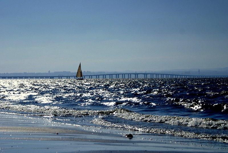 Praia Fluvial do Samouco by maria eduarda barrei…