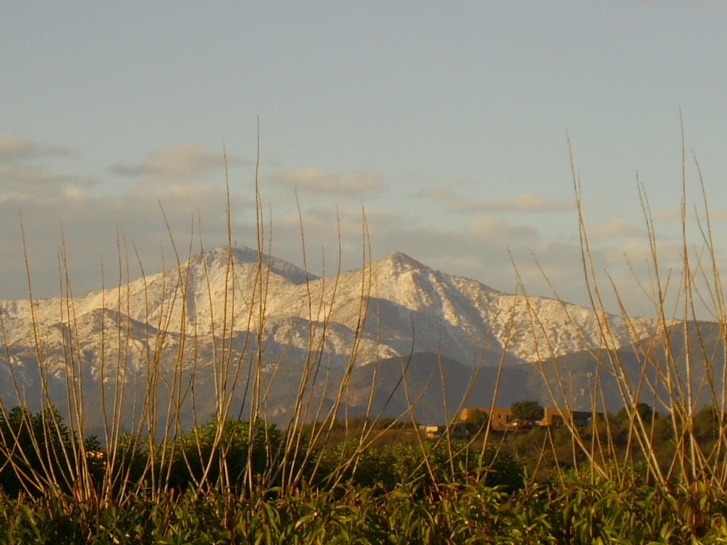 Vista del cerro El Roble, puntilla el Imán, morro el Pedregoso, cerro el Peñón, desde la parcela "Sra. Elsita" El Huinganal, Limache by Gerald Foxon