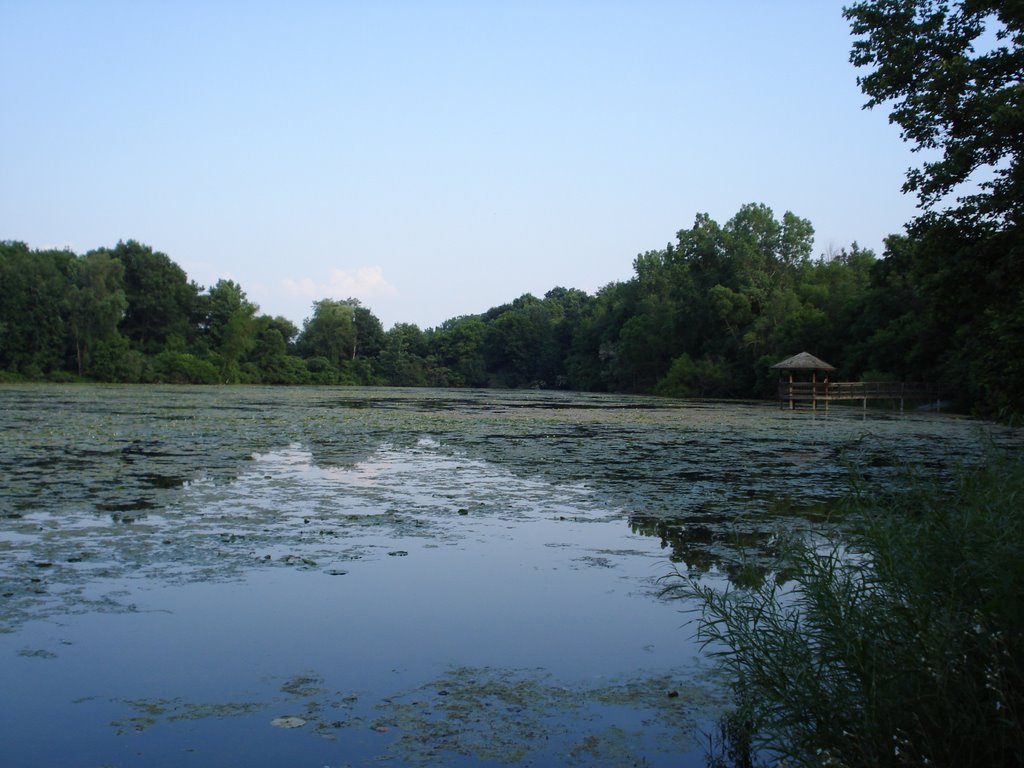 Willow Lake by sinanacikgoz®