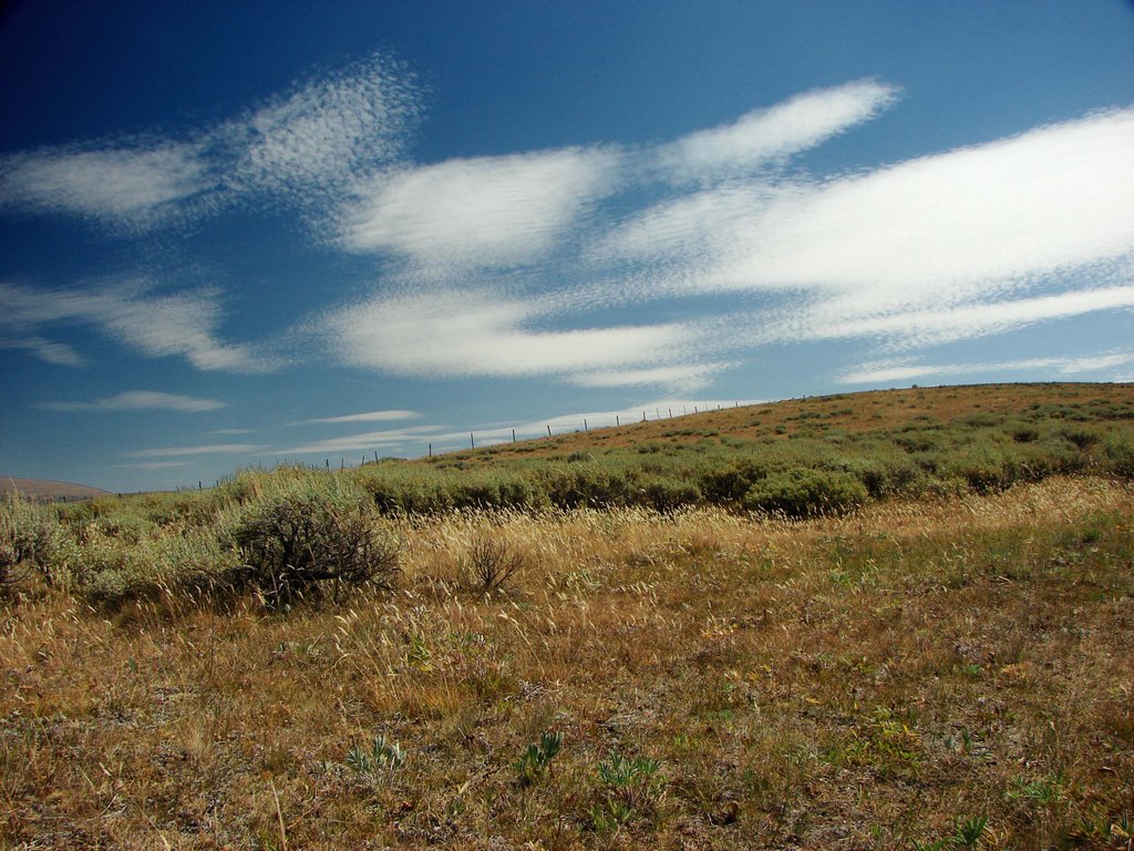 August on the Range by walkaboutwest