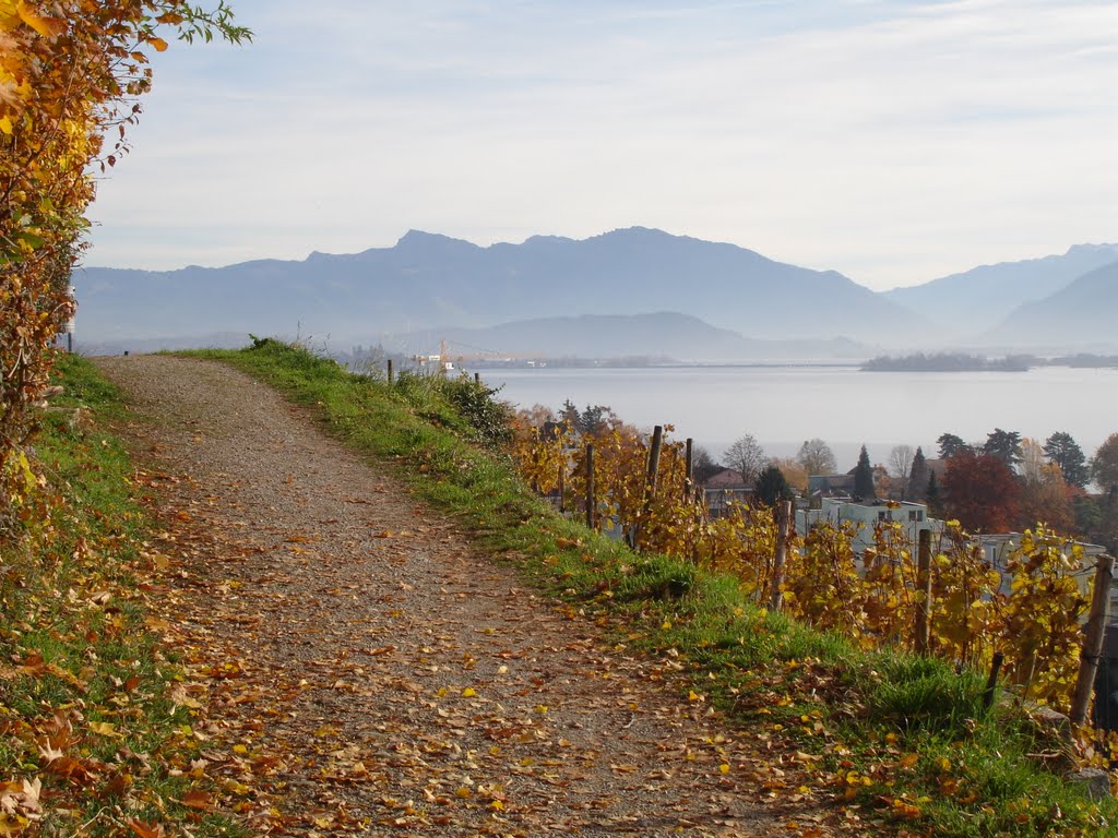 Herbstimmung auf dem Goetheweg in Stäfa by MikeBolliger