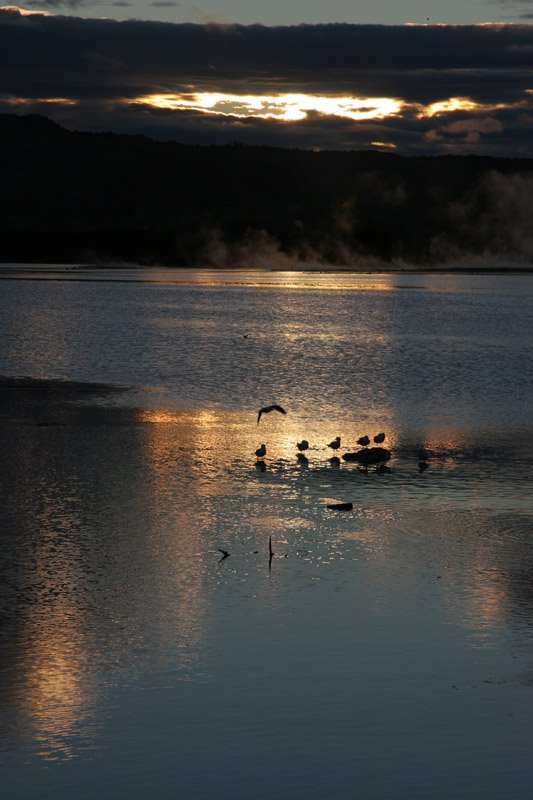 Lake Rotorua Sunrise by tblackburn