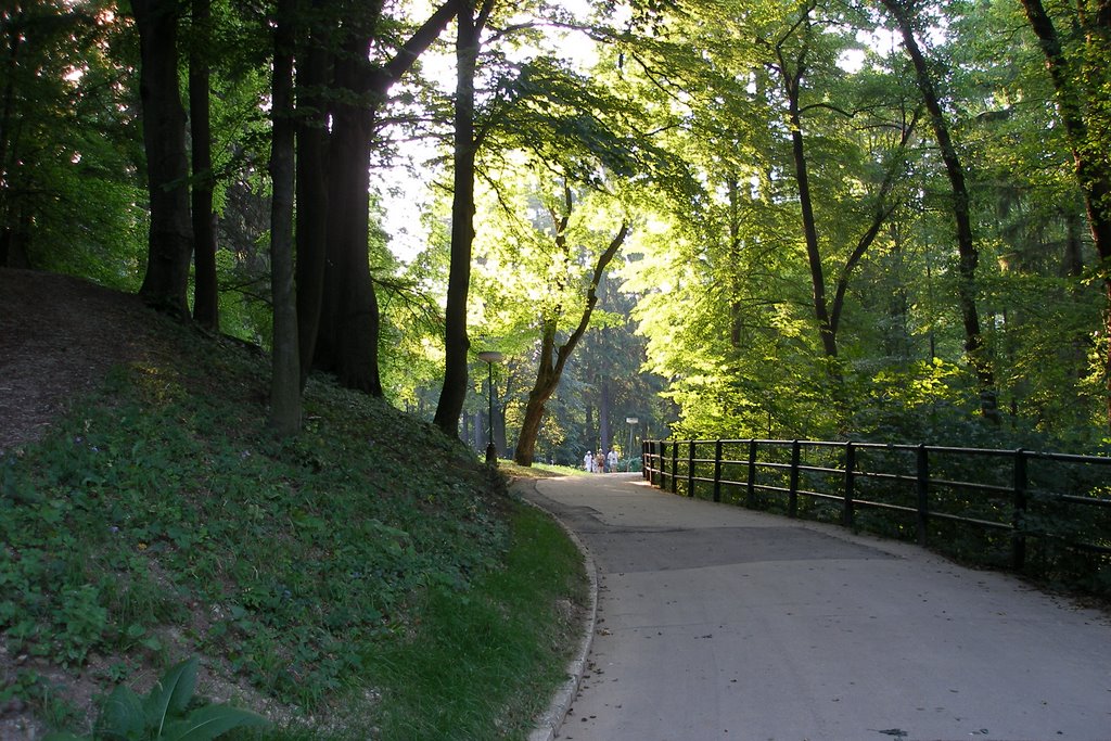 Trenčianske Teplice - park by Miro Horniak