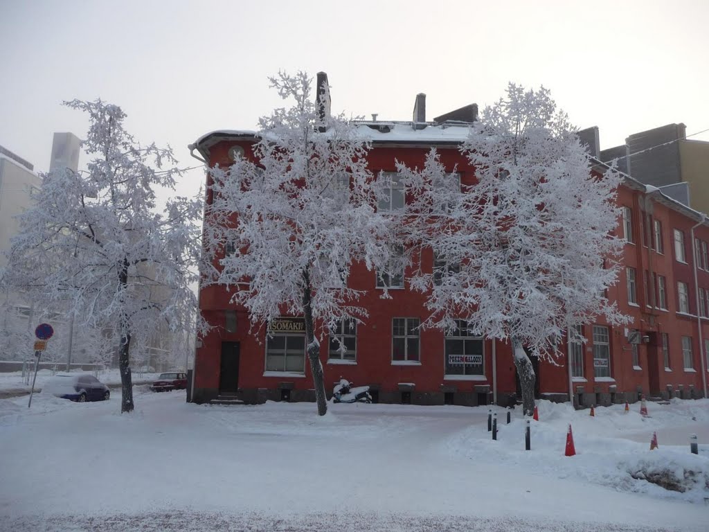 Frosty trees of Sturenkatu by kisumisu