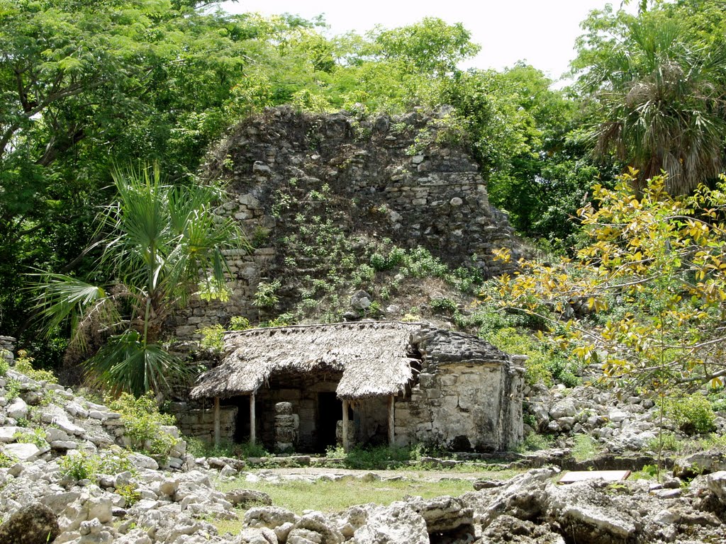 MEXICO: QUINTANA ROO: MUYIL: Sheltered Mayan structure by Douglas W. Reynolds