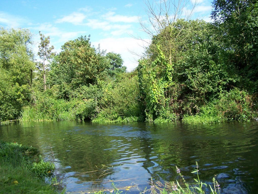 Stanwell moor, River Colne © Clare Kent by skipjacktunafish