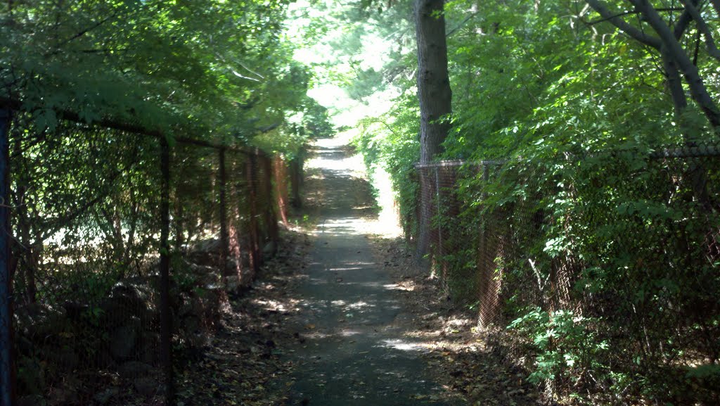 Silvermine school path by PettyCash