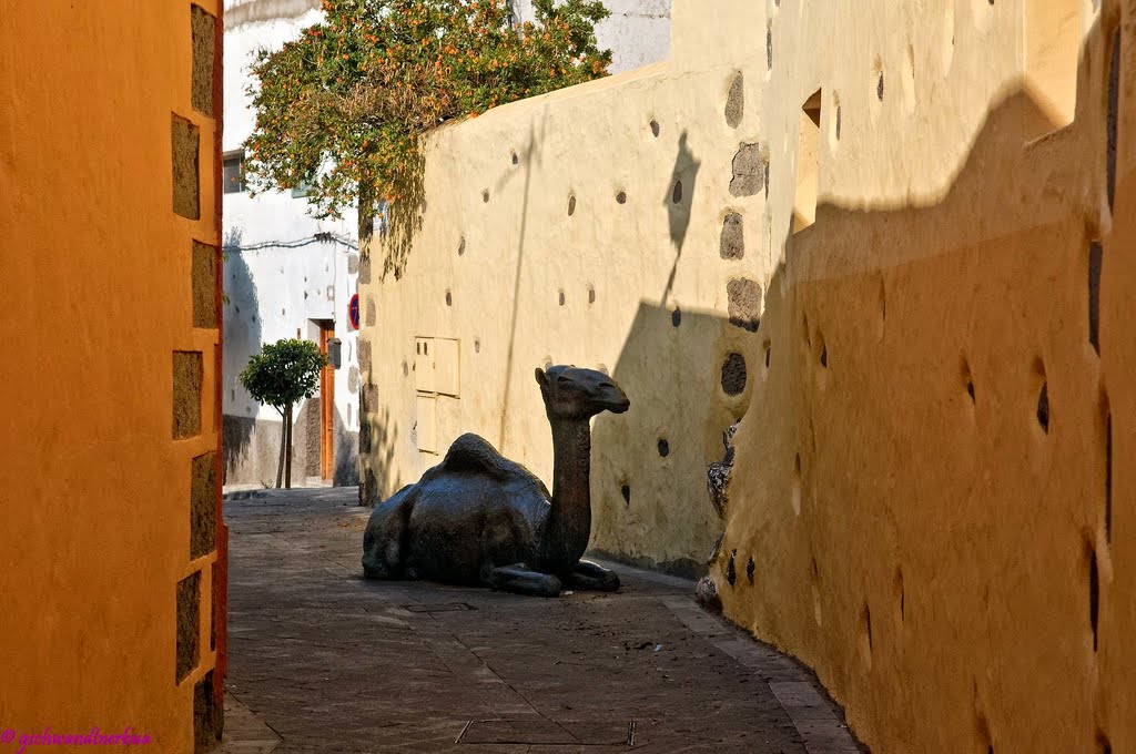 Agüimes - Gran Canaria by gschwandtnerbua