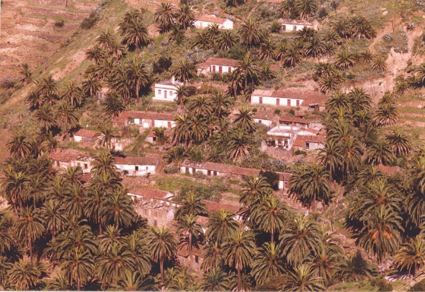 Palmeras y casas-La Gomera-Islas Canarias by juanjeli