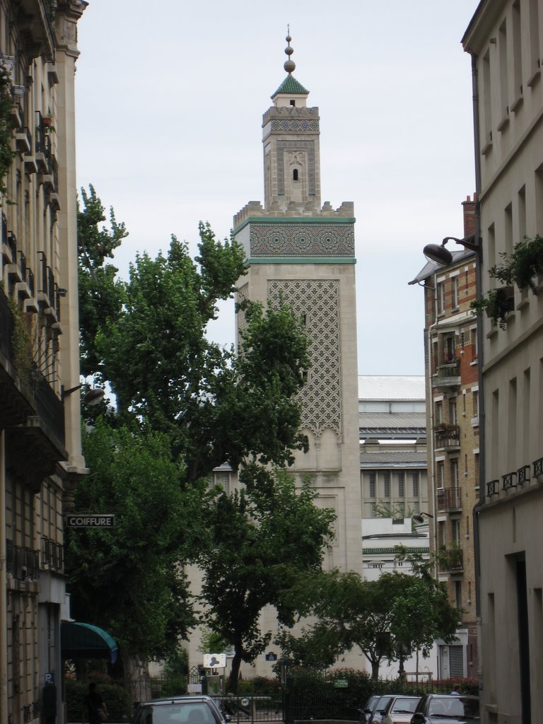 La Mosquée de Paris vue depuis la rue du Puits-de-l'Ermite by Volusien