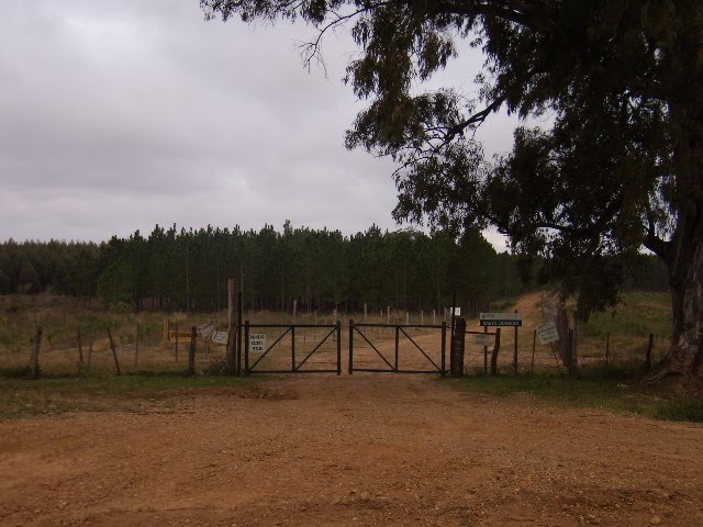 Entrada a Santo Dormingo by ricardojuñez