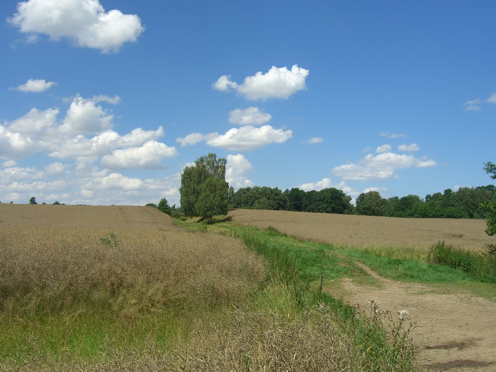 Der Einschnitt in Richtung Löthain by Schmalspur Sa.