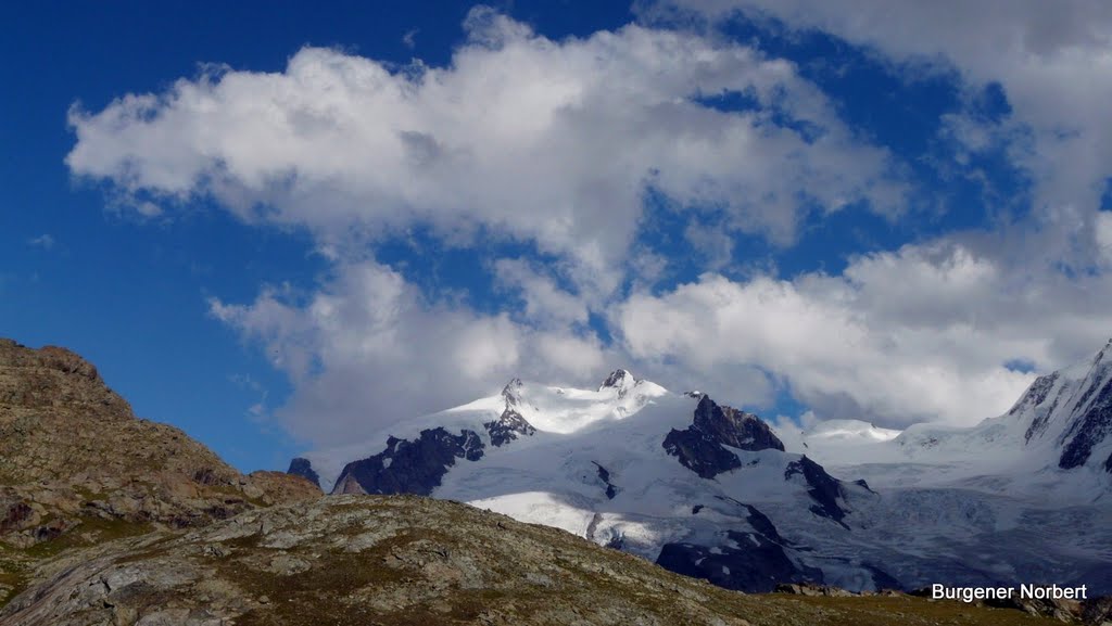 Zurück am Rotenboden,den letzten Blick zurück auf die Dufourspitze.Was man an einem Tag alles erleben kann? by Burgener  Norbert