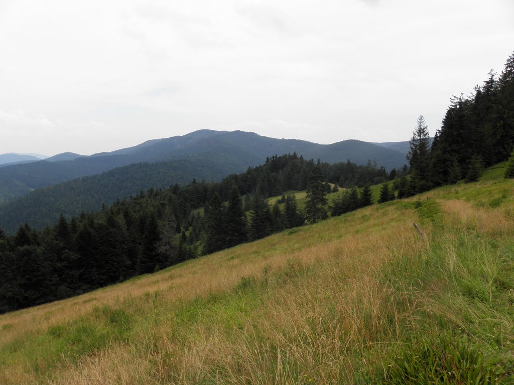 Turbaczyk - view towards Kudłoń by Dodge