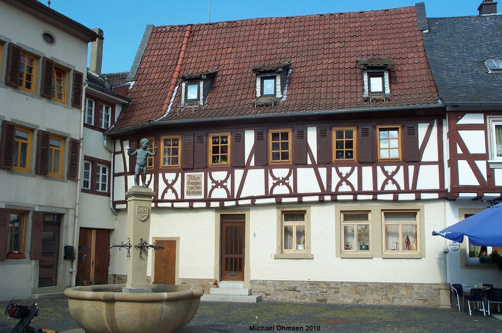 Brunnen im Stadtkern von Meisenheim by Michael Ohmsen