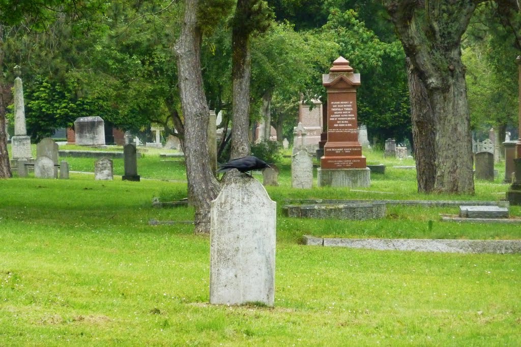 Ross Bay cemetary by Mataiva