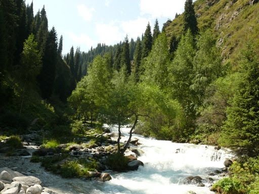 Река Проходная в ущелье Алма-Арасан/ Prokhodnaia river in the Alma Arasan gorge by Ardak_O