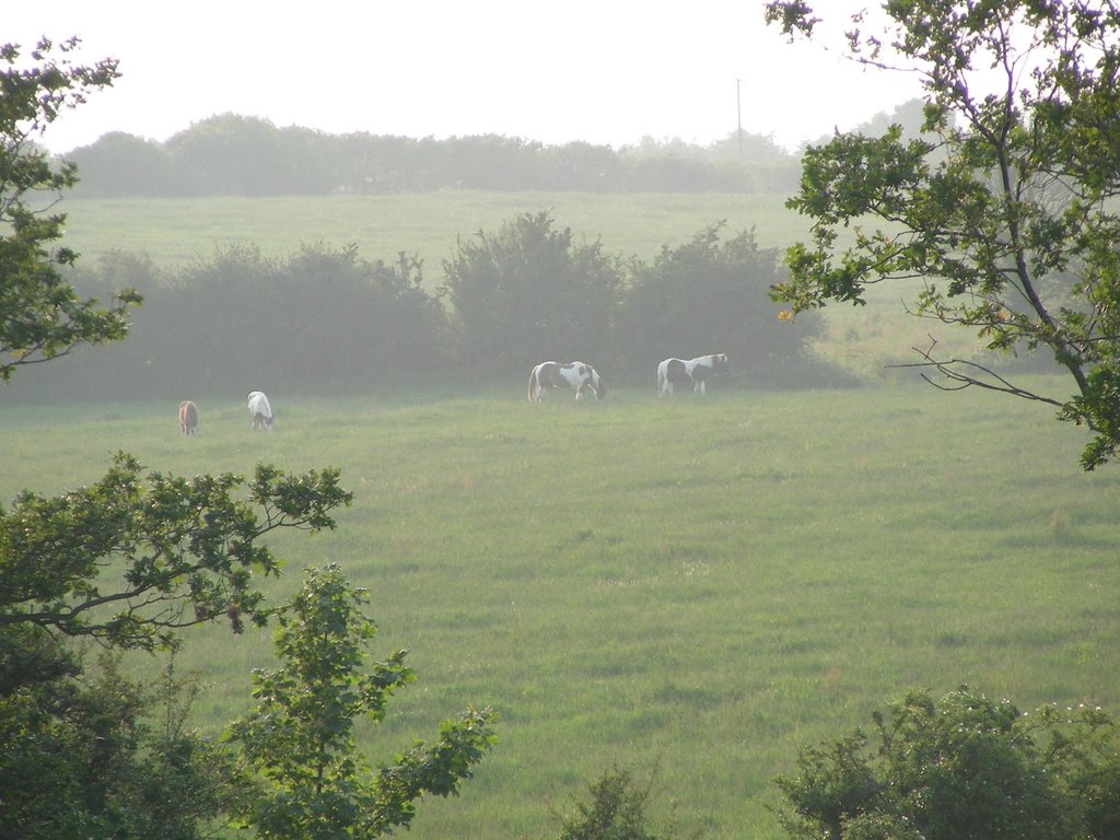 Sully, UK by lavernockman