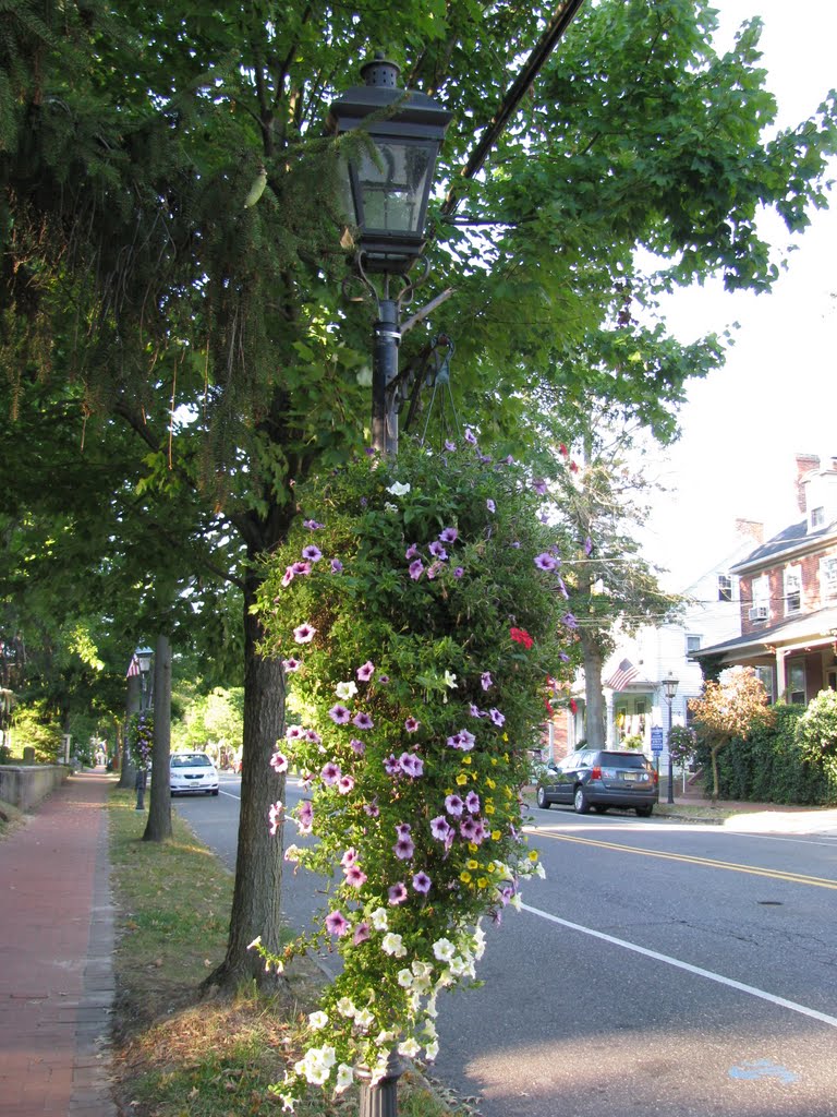 Hanging Flower Basket on Main Street, Medford, NJ USA by gdw01