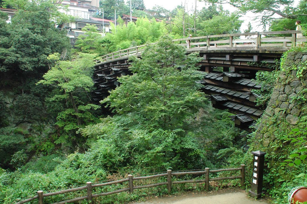 猿橋(Saruhashi bridge) by 9m2ji1etu